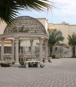 WhatsApp Image 2026-01-17 at 8.04.28 PM