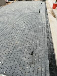 WhatsApp Image 2026-01-17 at 8.15.53 PM